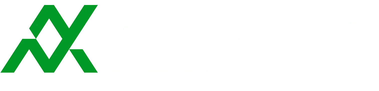 Ahogavi Web Agency
